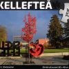 Svenskapussel : Skellefteå - Färg & Form, Stadsparken (1000)