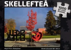 Svenskapussel : Skellefteå - Färg & Form, Stadsparken (1000)