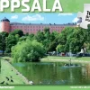 Svenskapussel : Uppsala - Svandammen (1000)
