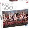 Tactic : Greater Flamingos (500)