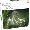 Tactic : Swan on Lake with Babies (1000)