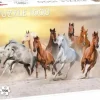 Tactic : Wild Horses (1000)