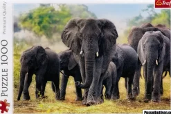 Trefl : African Elephants (1000)
