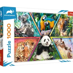 Trefl : Animal Kingdom (1000)