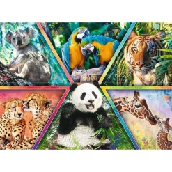 Trefl : Animal Kingdom (1000)