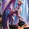 Trefl : Anne Stokes - Treasure Trove (1000)