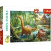 Trefl : Dinosaur Migration (60)