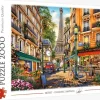 Trefl : Dominic Davison - Afternoon in Paris (2000)