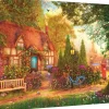 Trefl : Dominic Davison - Thatched Cottage (1000)