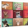 Trefl : Funny Cats Faces (1500)