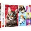 Trefl : Happy Cats (1000)