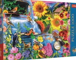 Trefl : Lars Stewart - Country Life, Songbirds (1000)