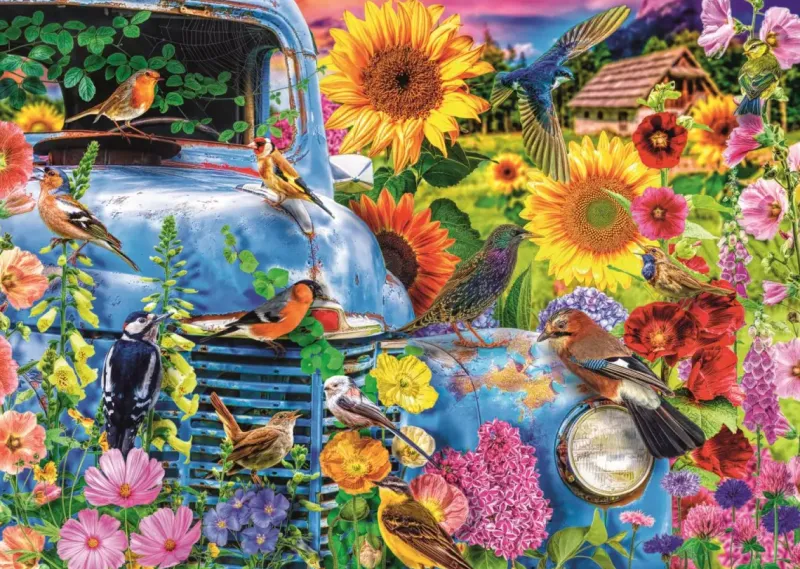 Trefl : Lars Stewart - Country Life, Songbirds (1000)