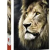 Trefl : Lion's Portrait (1500)