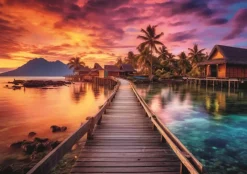 Trefl : Paradise Island (1000)