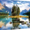 Trefl : Spirit Island (1000)
