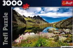 Trefl : Starolesnianski Pond, Tatras, Slovakia (3000)