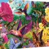 Trefl : Steve Read - Garden for Birds (1000)