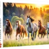 Trefl : Wild Horses (1500)