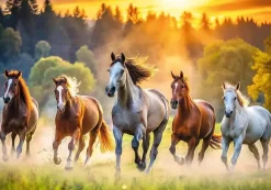 Trefl : Wild Horses (1500)