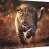 Trefl : Wild Leopard (1000)