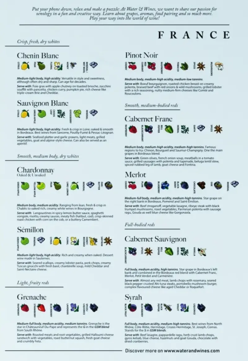 Water & Wines : France - Wine Puzzle (1000)