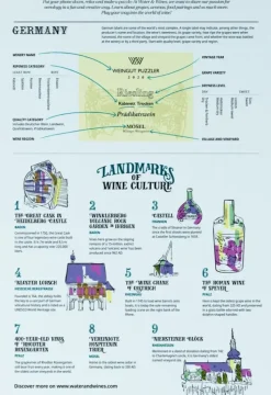 Water & Wines : Germany - Wine Puzzle (1000)