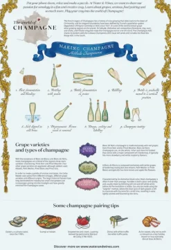 Water & Wines : The World of Champagne Puzzle (1000)