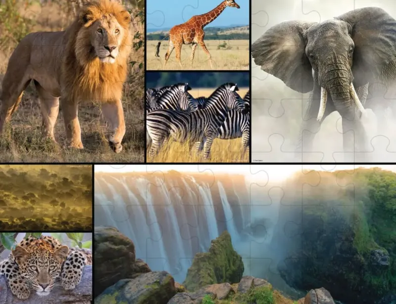 WWF Puzzle: Golvpussel - Africa (48)