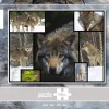 WWF Puzzle: Wolves (1000)